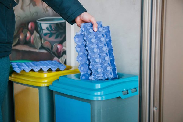 Comment utiliser des bouteilles en plastique pour construire une serre miniature ?